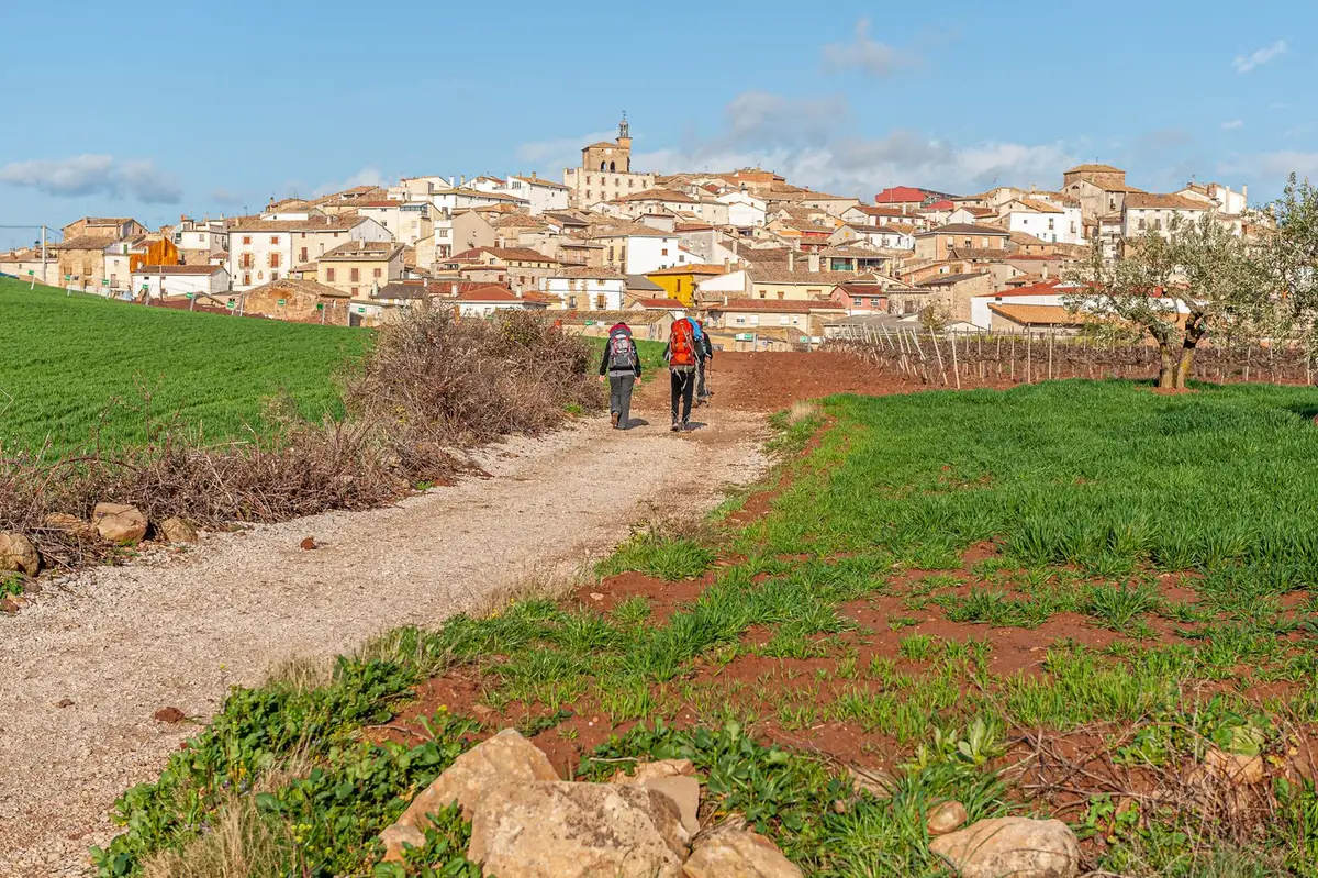 Walkers with big rucksacks on a dirt path between green fields, heading towards a village of old houses with a church tower on a hill, under a blue sky (the Camino de Santiago near Cirauqui, Navarra).